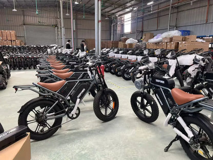 1000W Motor Electric bike 48V 55AH 20-inch Snow Tire Electric bicycle Outdoor adult Off-Road Bicycle Mountain Ebike