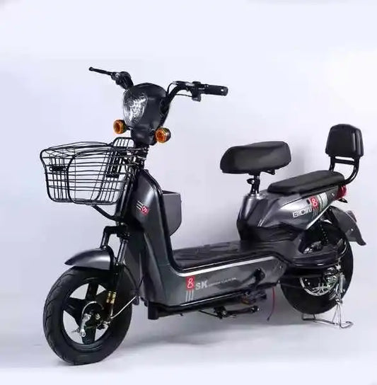 Electric Two-wheeler E Bike E Bicycle 500W Electric Bike Electric Bicycle with 48V/60V Lead- Acid Battery for Adults
