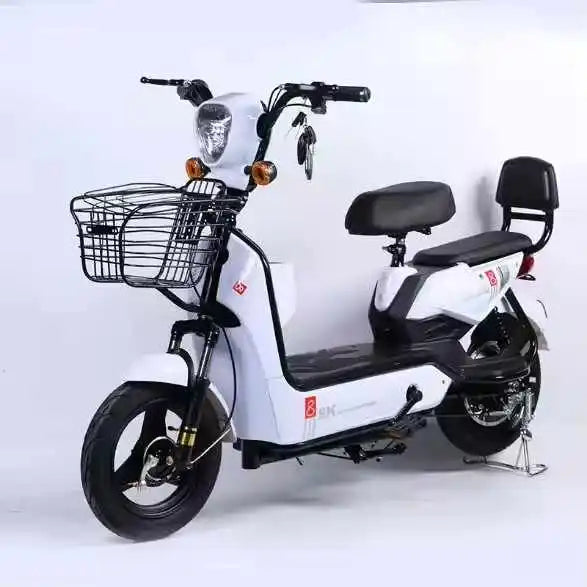 Electric Two-wheeler E Bike E Bicycle 500W Electric Bike Electric Bicycle with 48V/60V Lead- Acid Battery for Adults