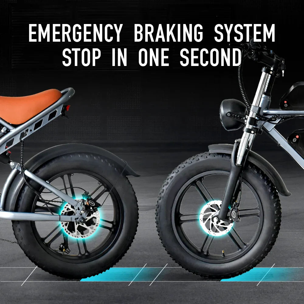 DEEPOWER S7Pro Electric Bike for Adults, 48V, 60Ah,Dual Battery, 20''x4.0 Fat Tires,Snow Mountain E-Bike, 2000W Electric Bicycle